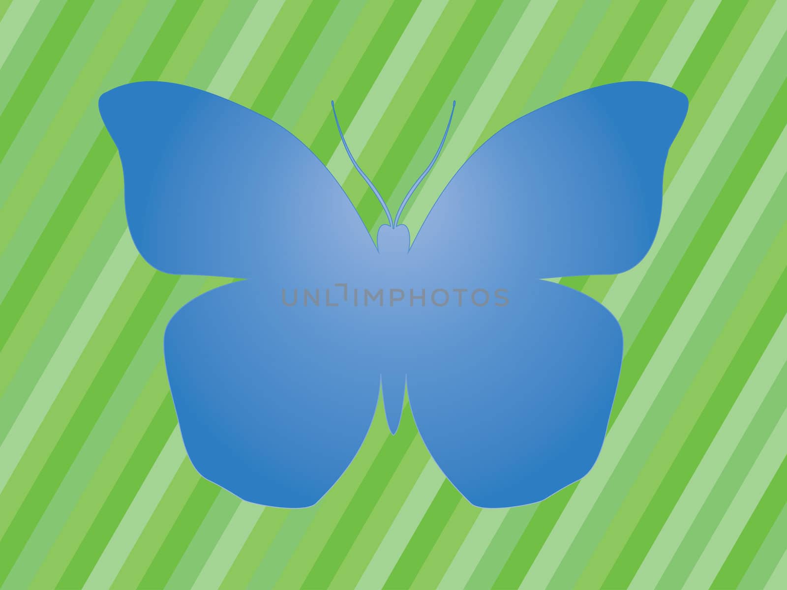 blue butterfly over green stripes background