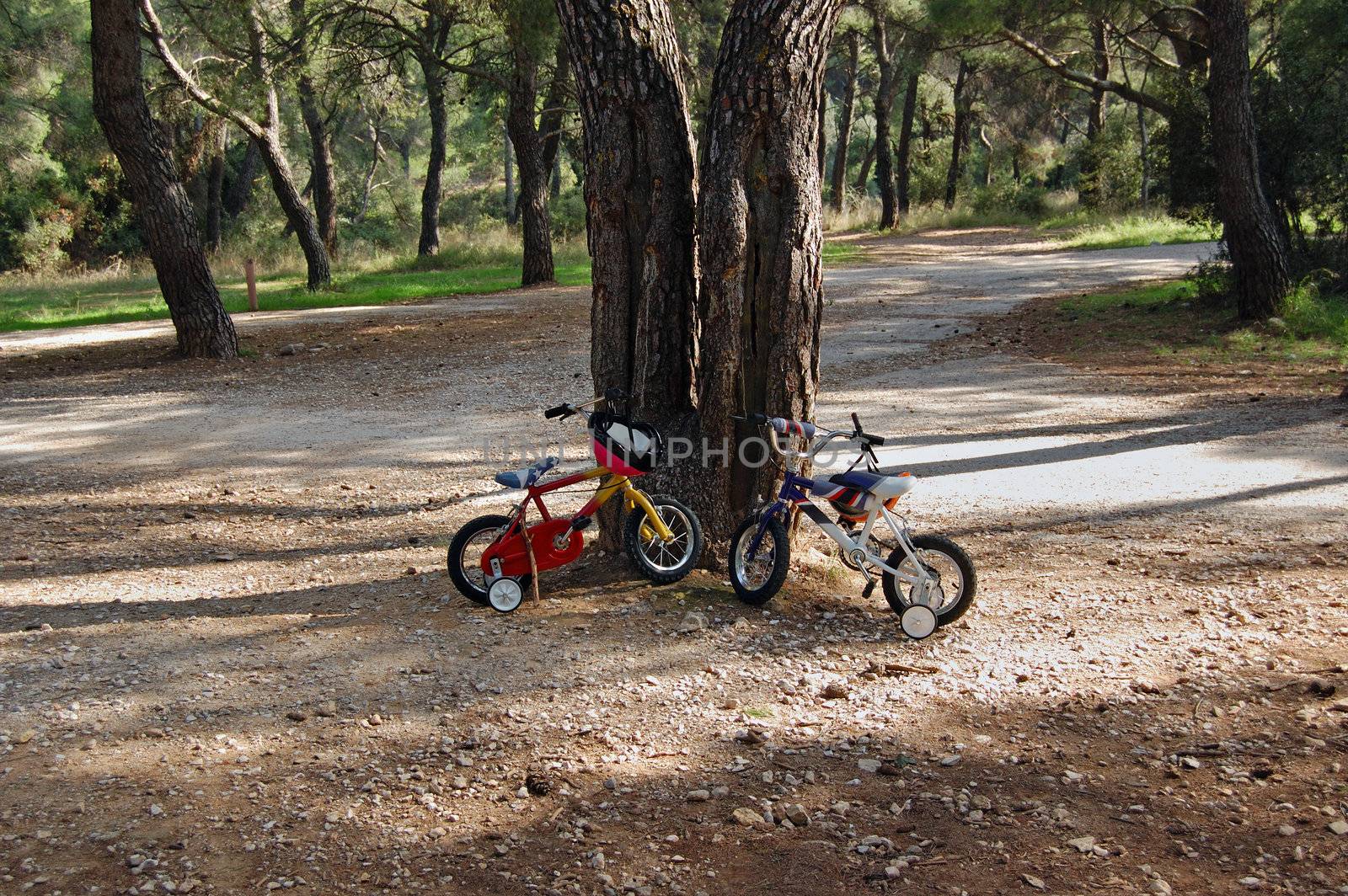 Two children's bikes with training wheels parked below a tree in a park.