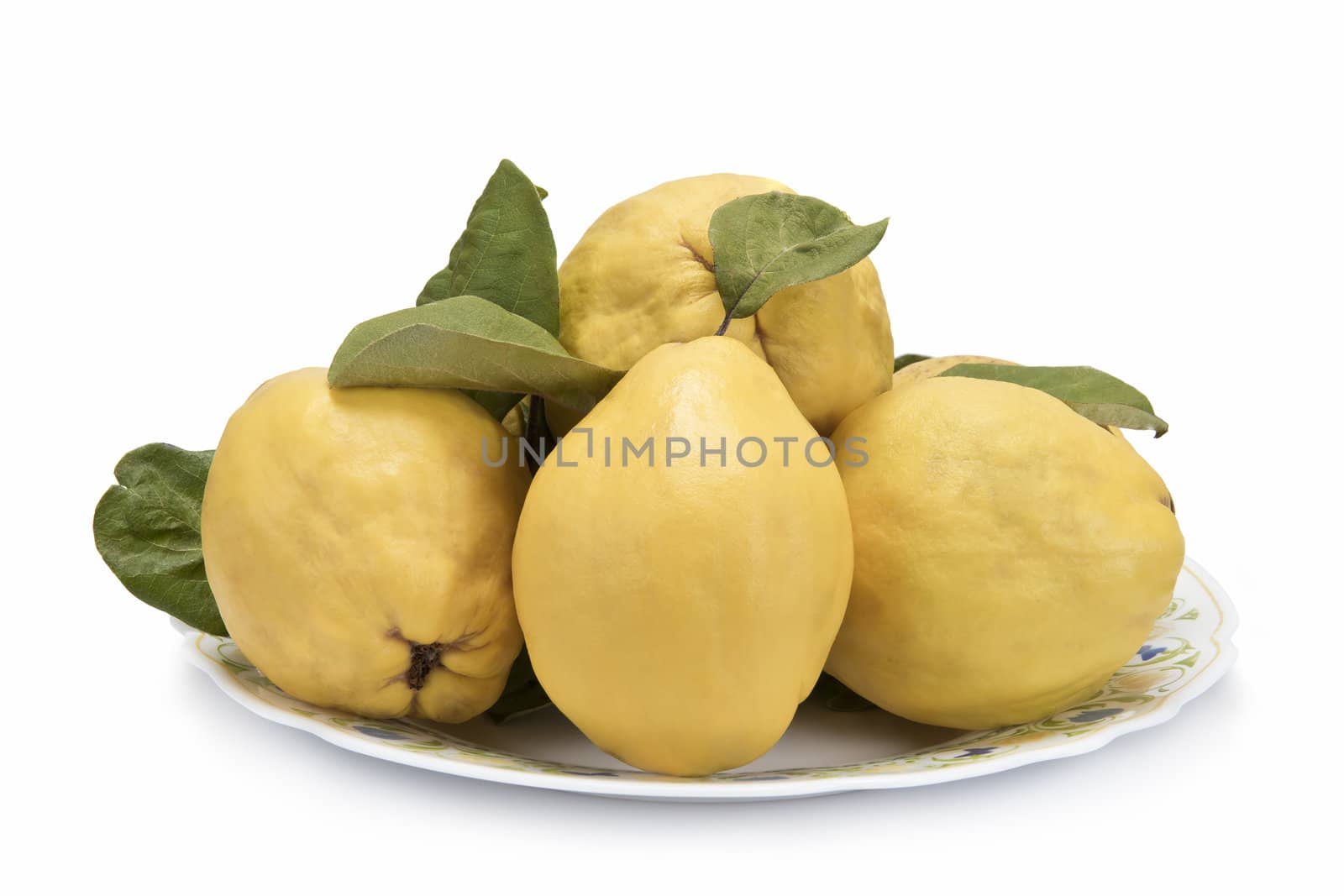 Plate with premium fresh quinces freshly harvested to cook. 