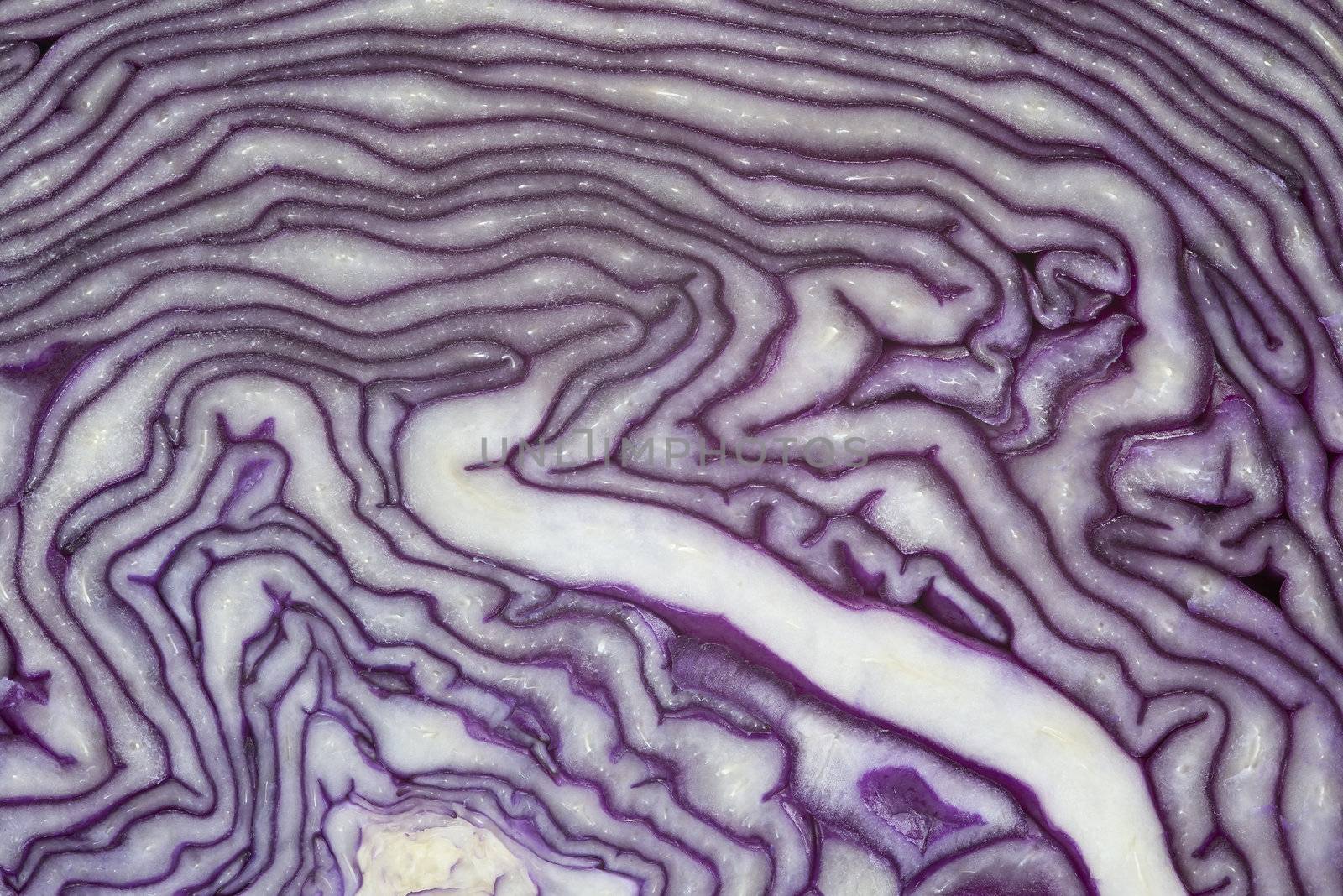 A red cabbage cut showing its texture