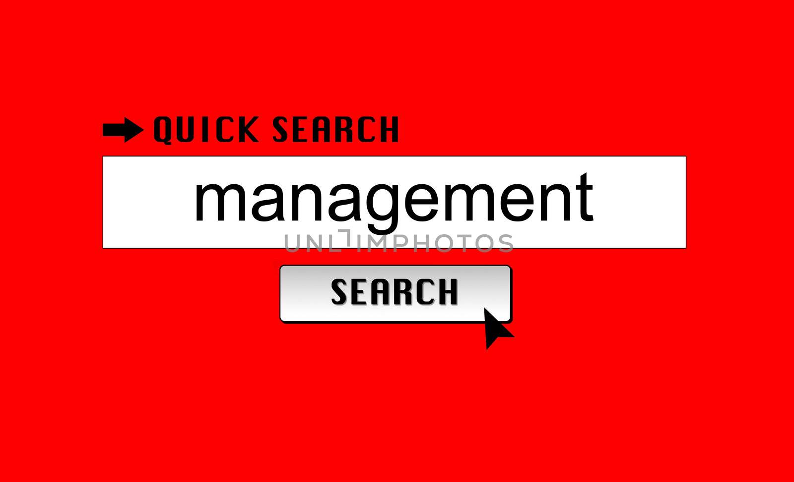 Searching for 'management' in an internet search engine.