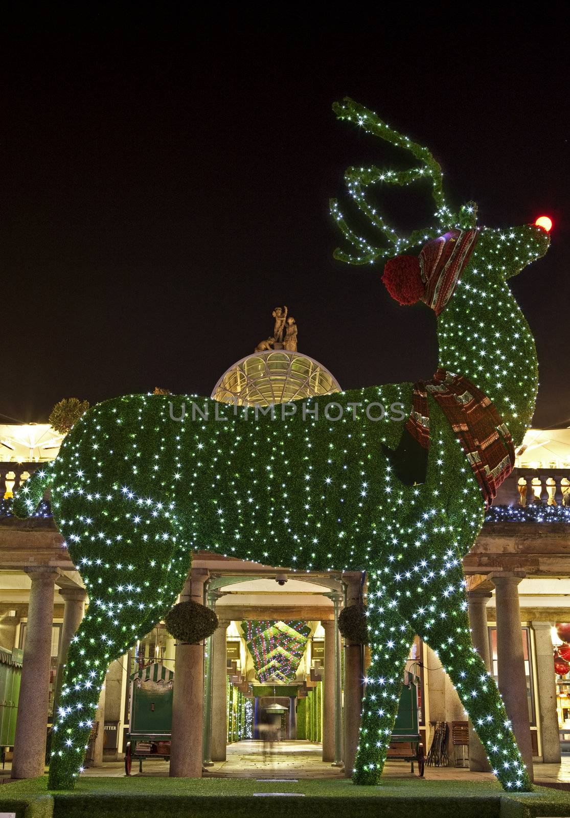 Topiary Reindeer in Covent Garden at Christmas by chrisdorney