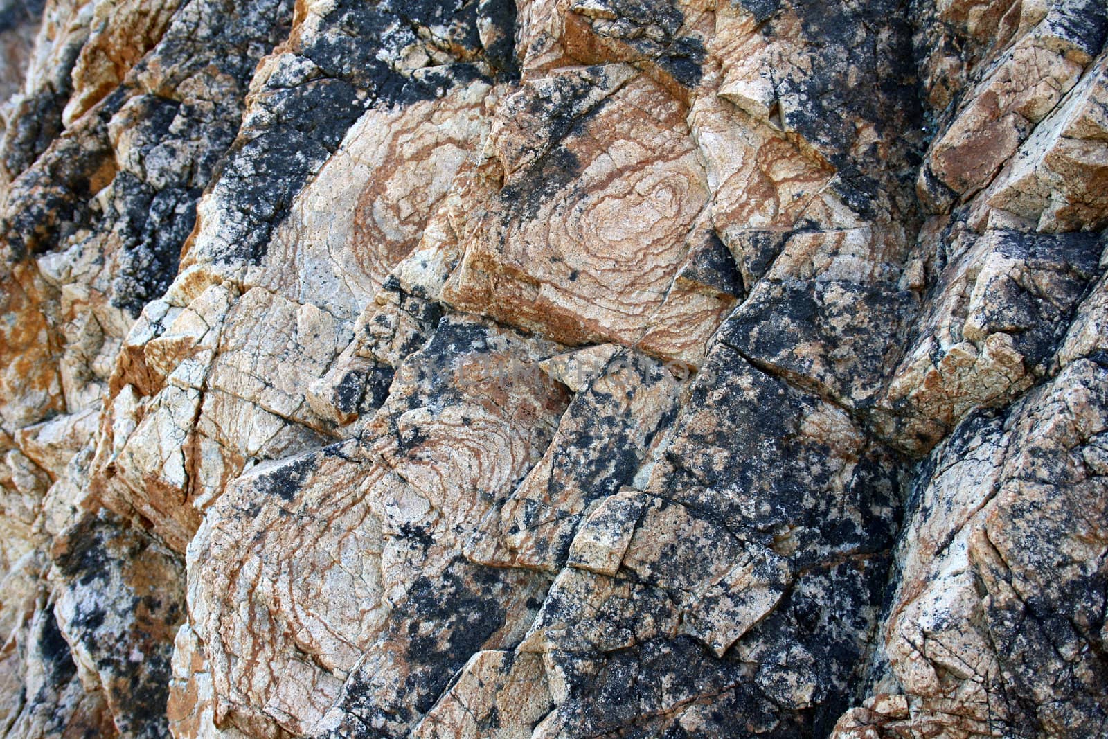 Unique natural patterns on stones