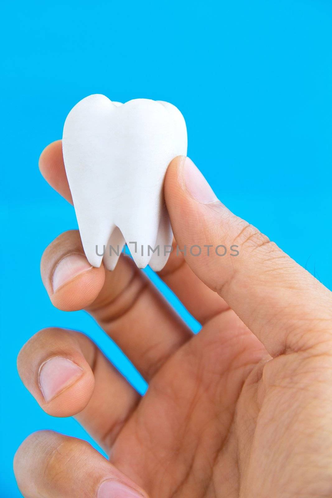 Hand Holding Molar,dental concept