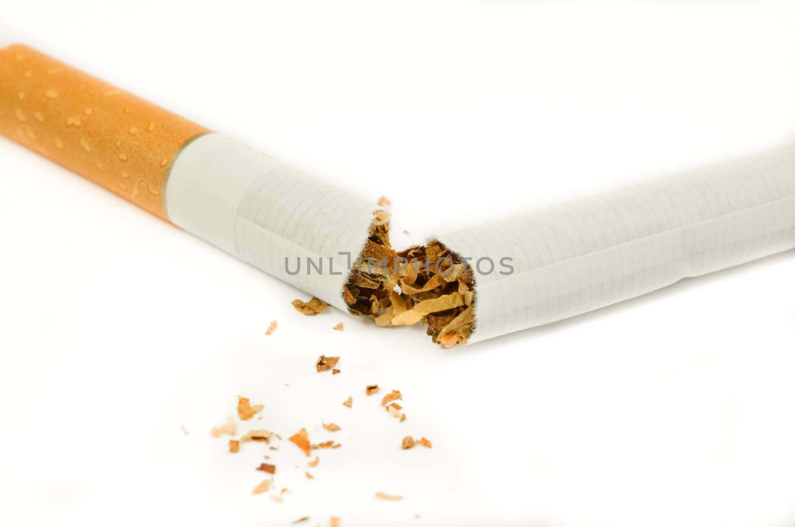 Closeup of cigarette isolated on white background