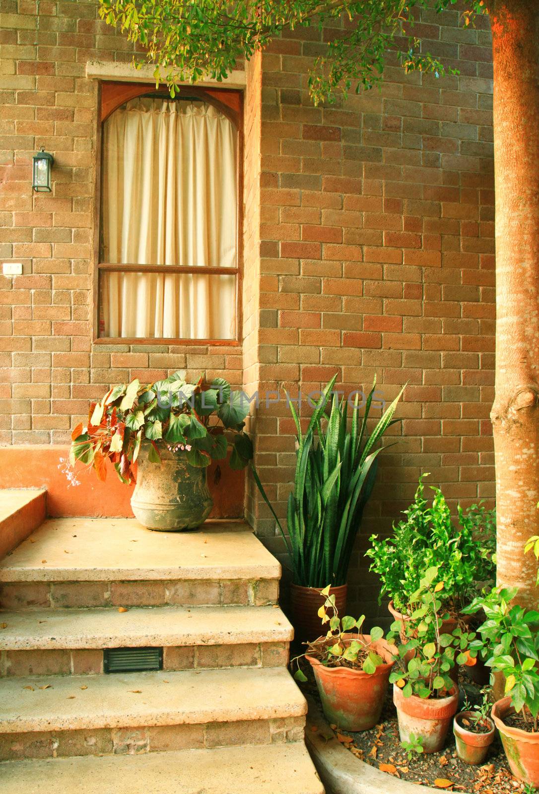 Front of the italian house style with plant