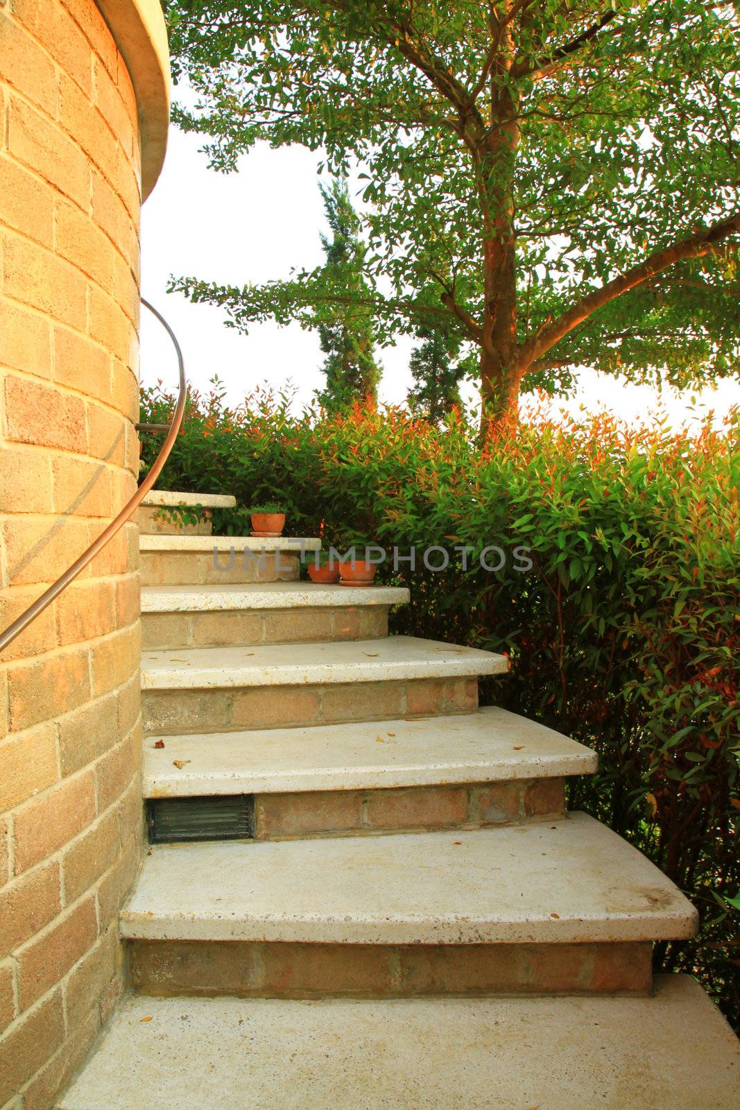 Staircase with flower and tree in garden