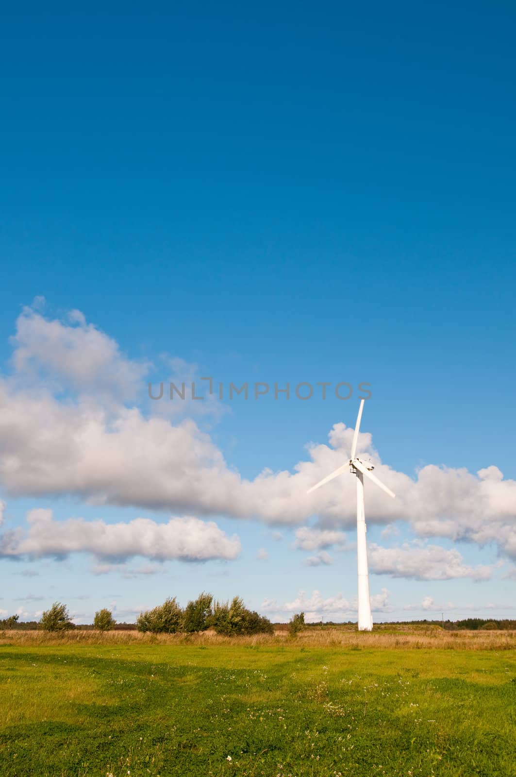 Summer shot of landscape with windmill and blue sky