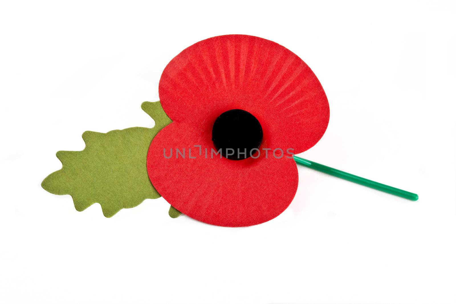 Poppy to commemorate the Commonwealth War Deaths in both World Wars.