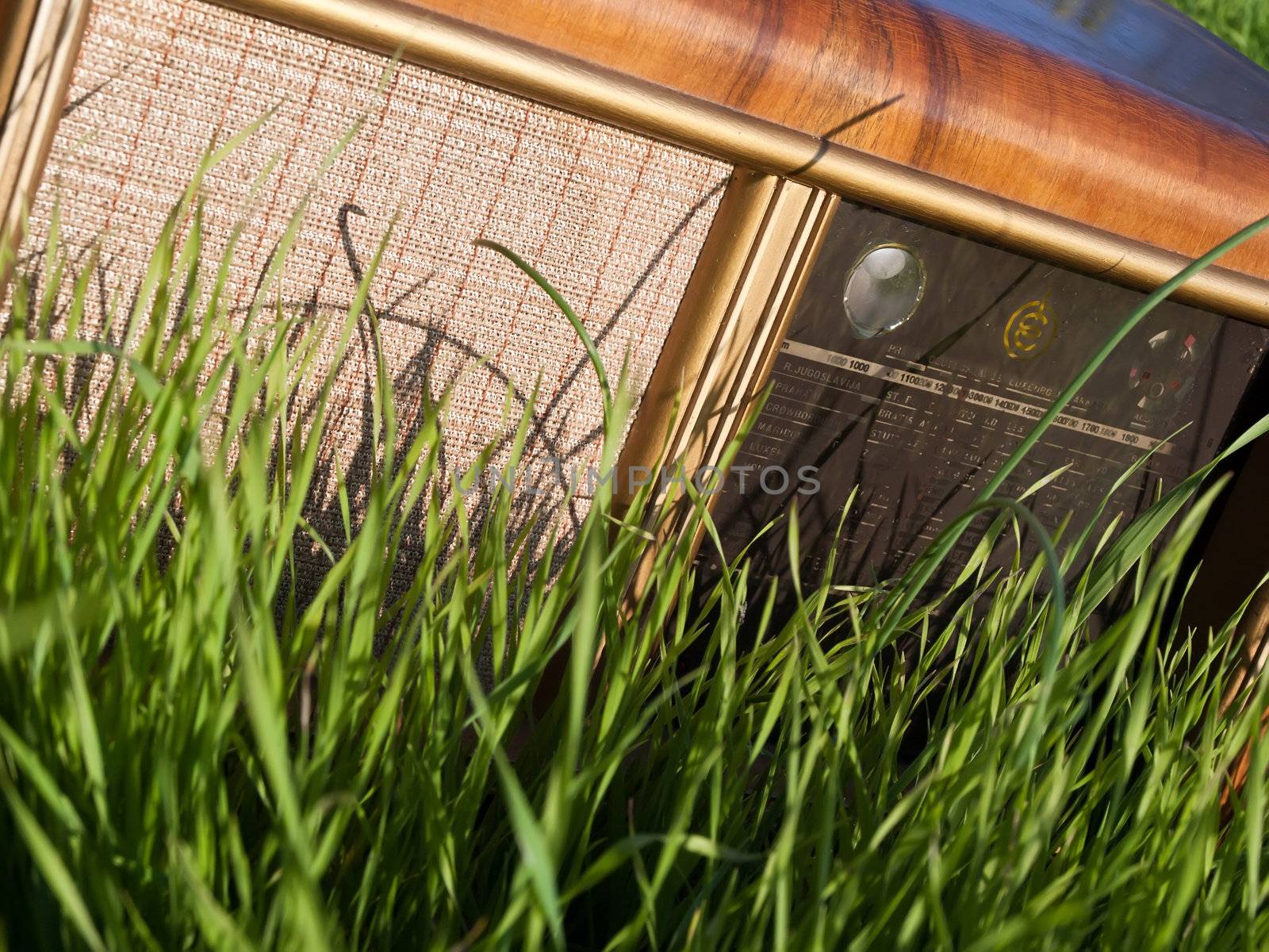 vintage radio receiver in green grass