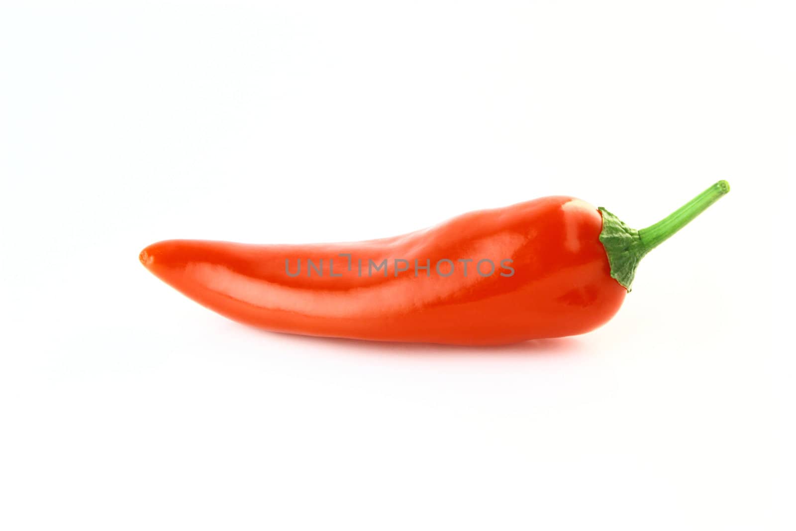 red hot chili pepper on a white background