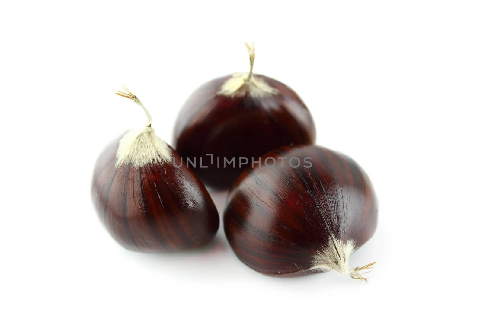 Sweet chestnuts on white background.