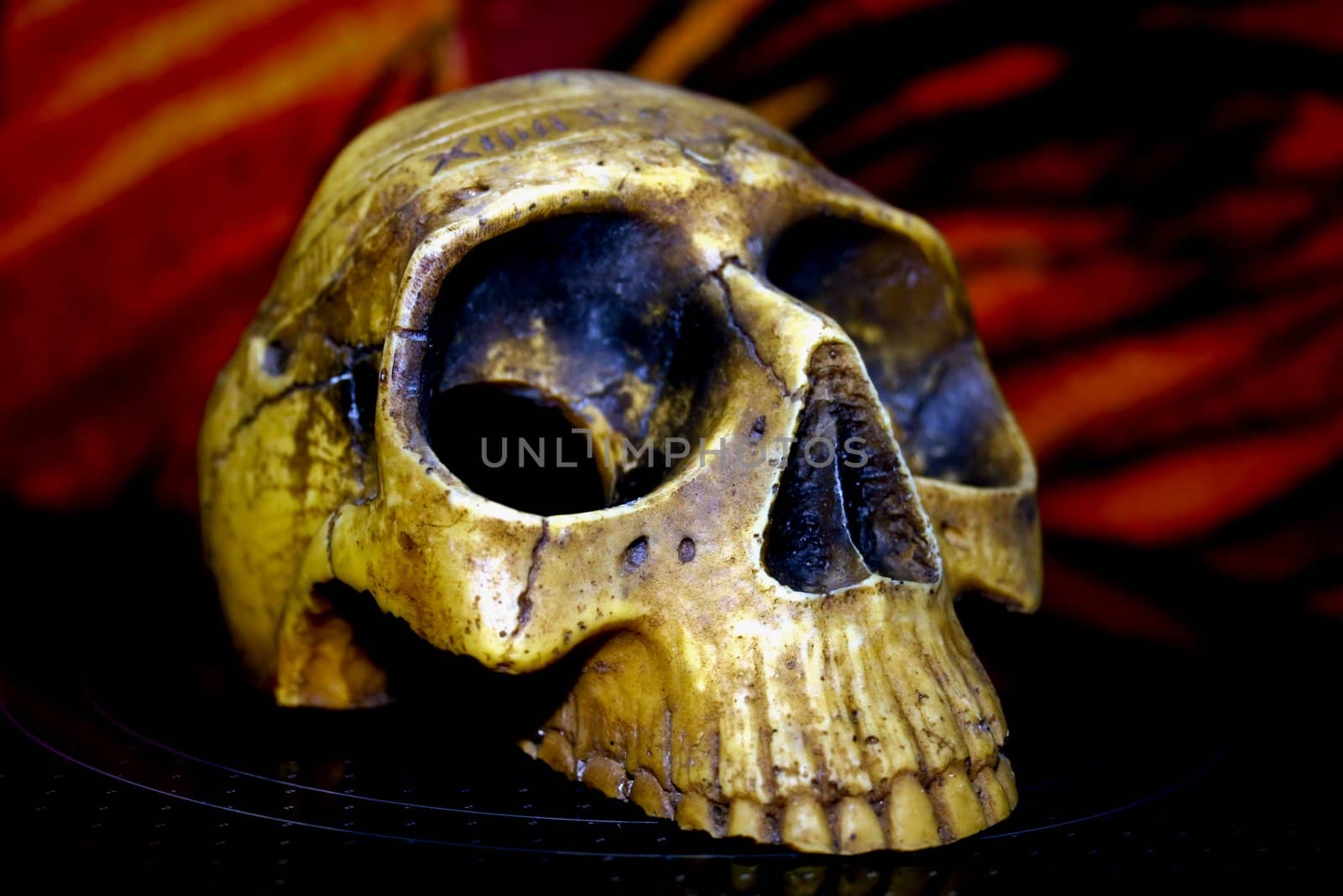 Skull of the person - a death symbol