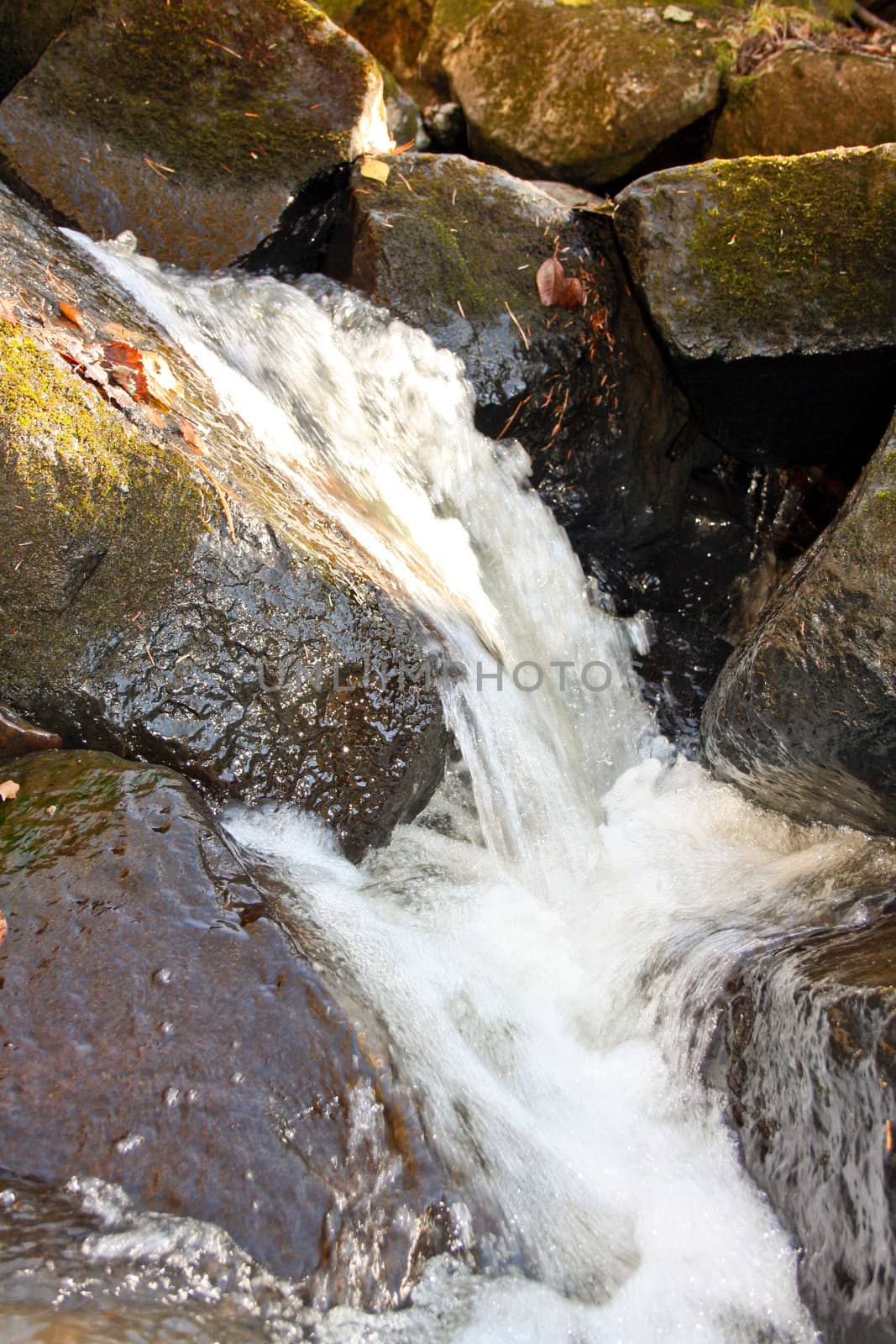 Water in a stream of a mountain stream