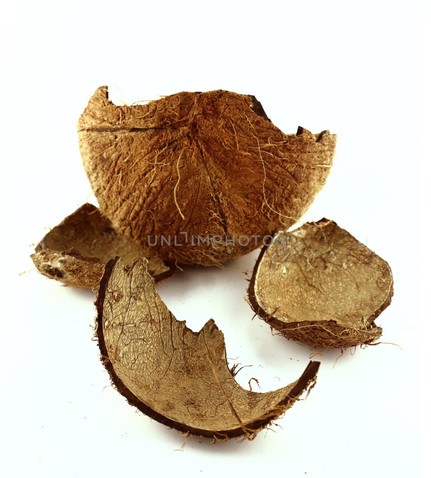 cracked coconut shell or hard cover on white.