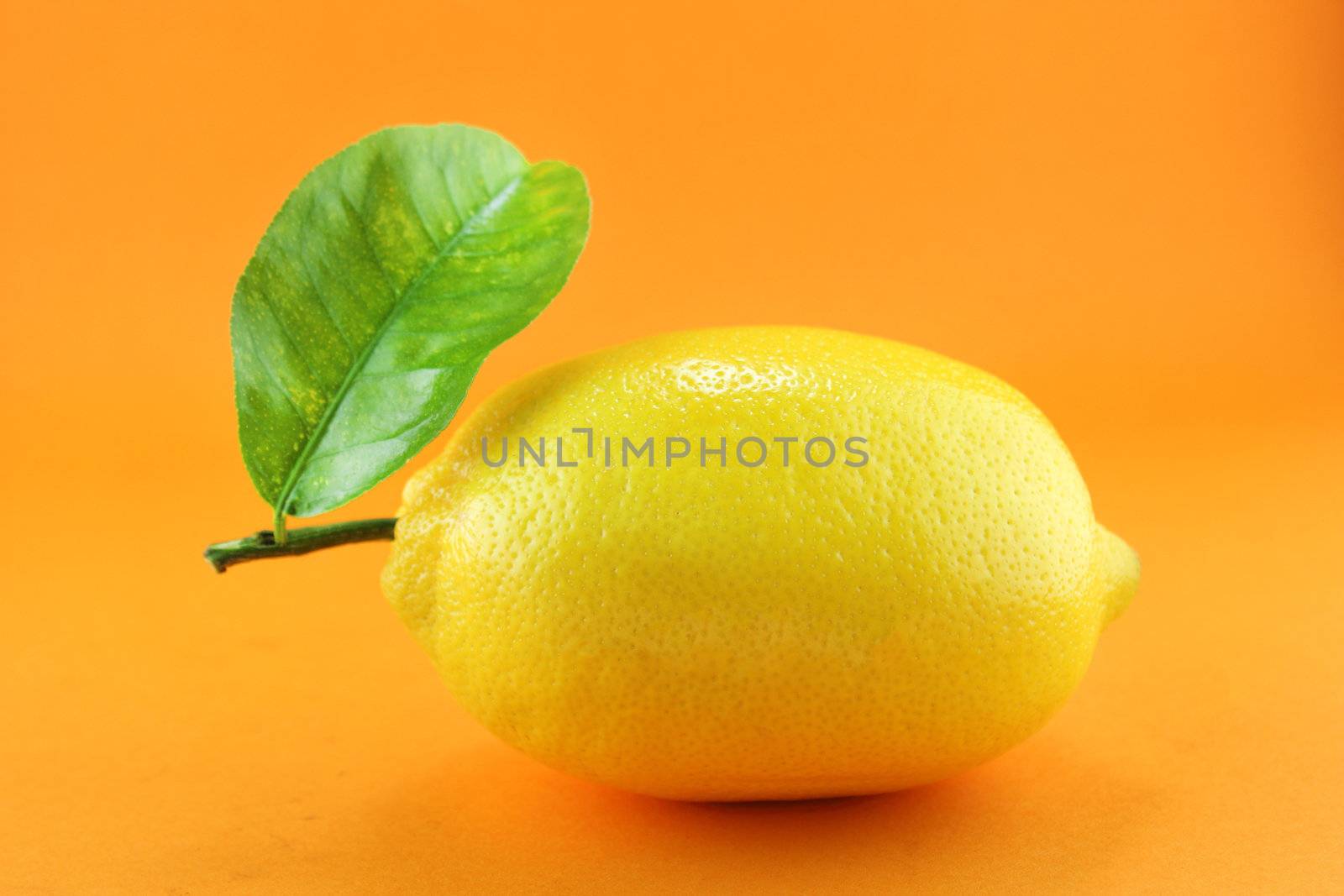 yellow ripe lemon with leaf over the orange background