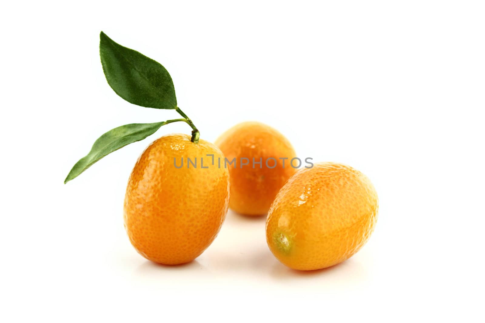 Sweet Small Orange Fruit with leaves.