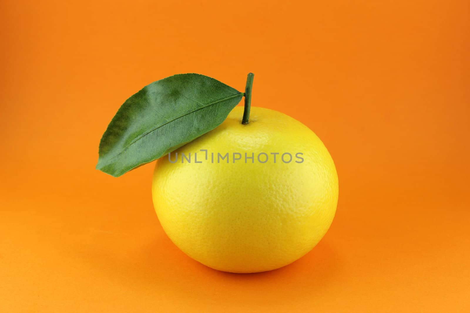 Ripe appetizing grapefruit with leaf on orange background.