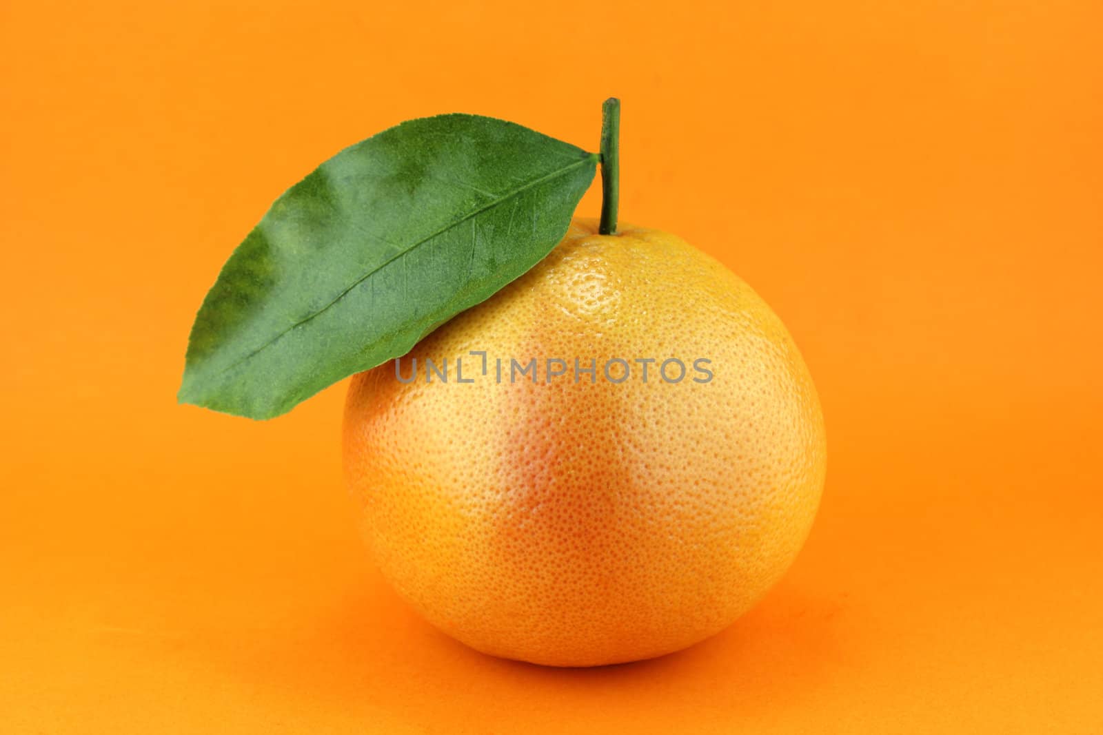 Ripe appetizing grapefruit with leaf on orange background.