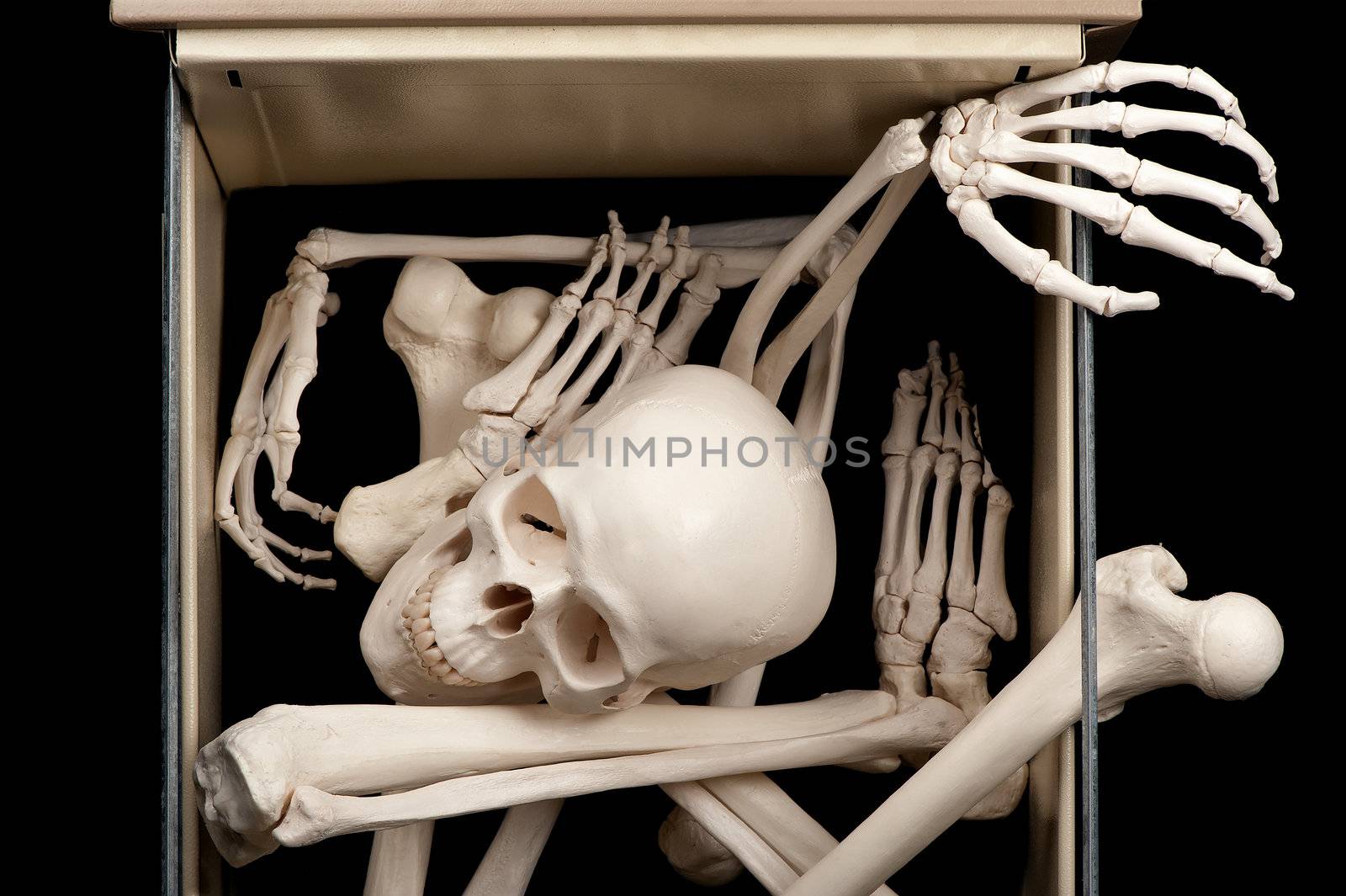 One open drawer reveals skeletal bones that were previously hidden.