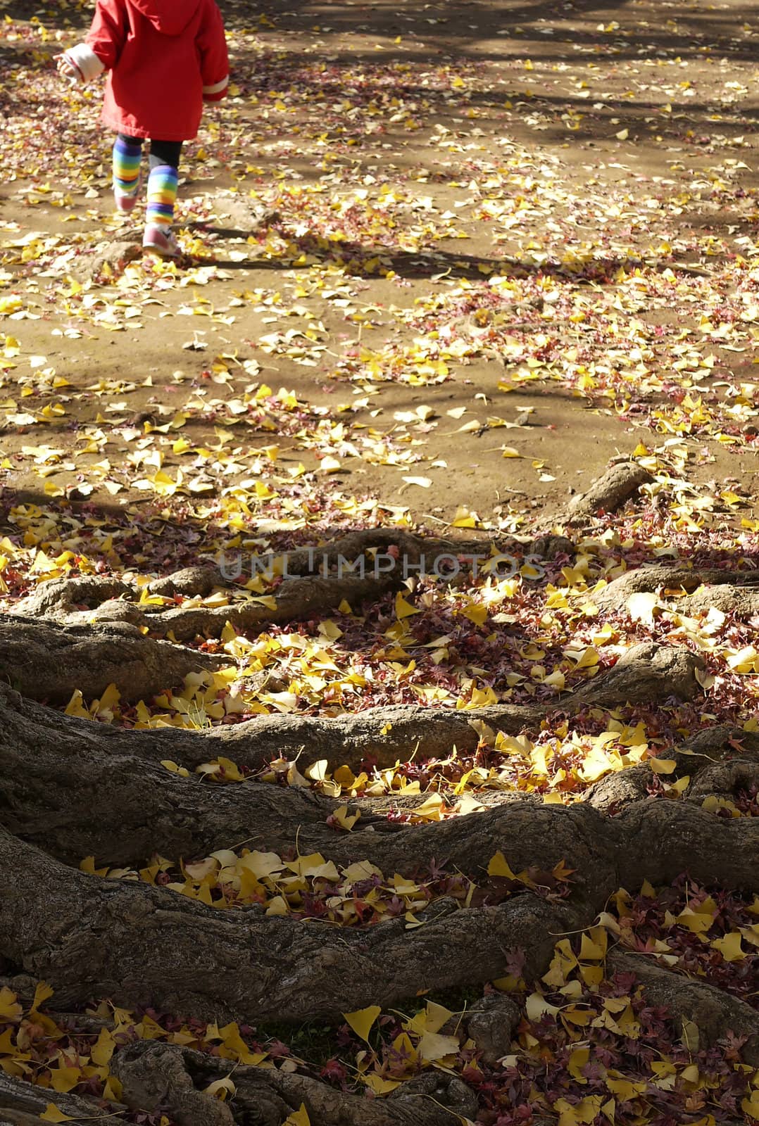 Girl running in autumn park