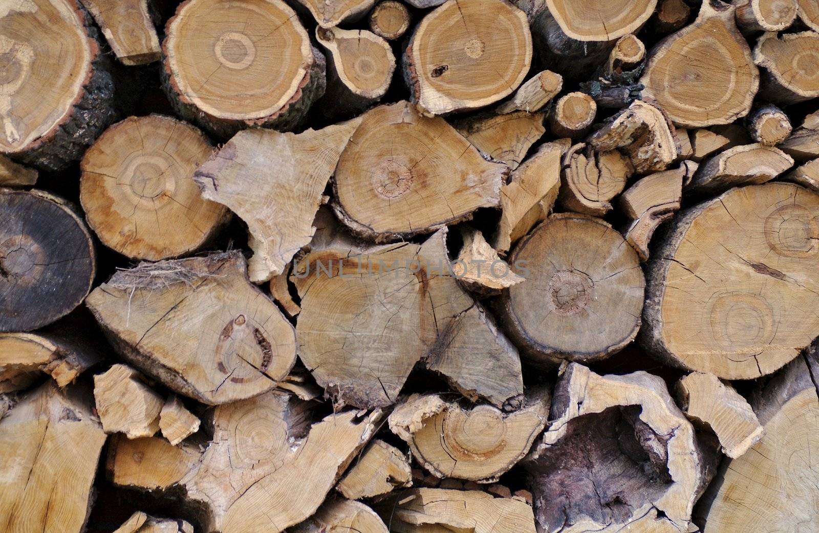 Firewood Logs Background by zhekos