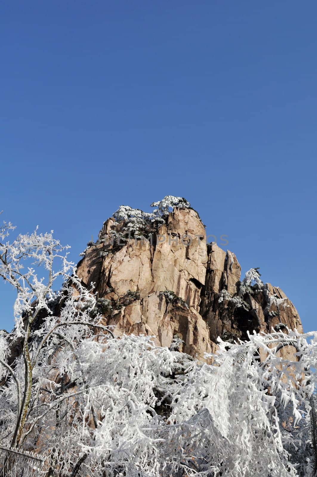 Rime and mountain in winter against blue sky