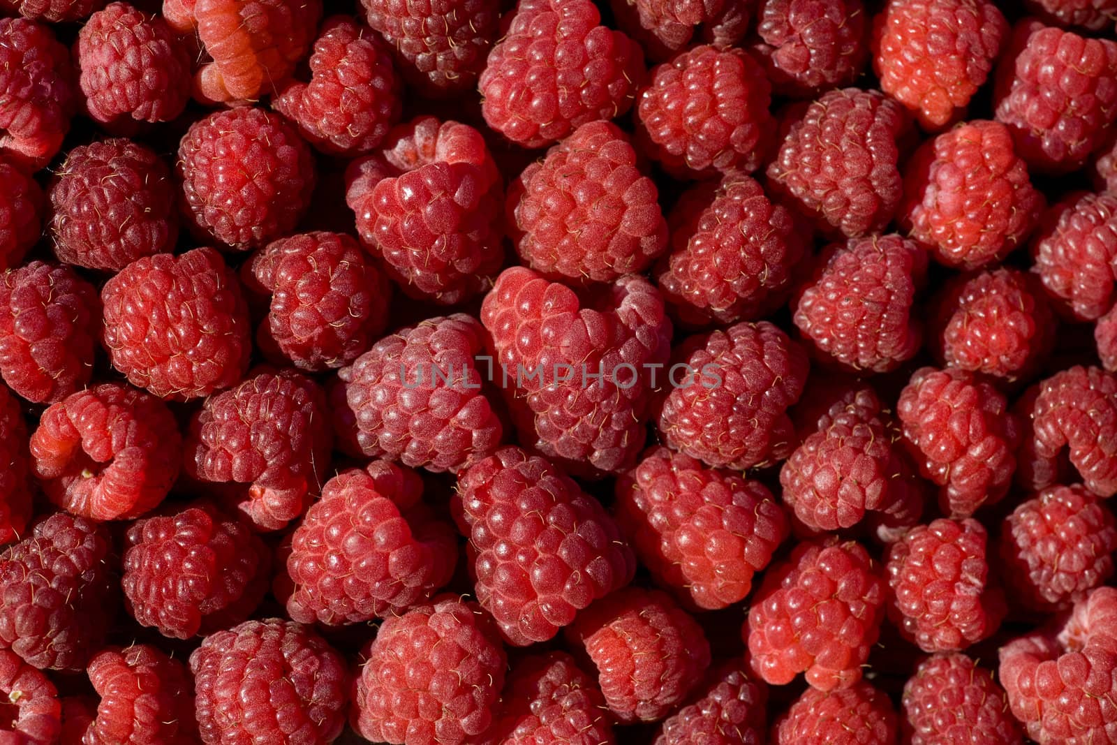 Fresh ripe perfect raspberry - Food Frame Background 