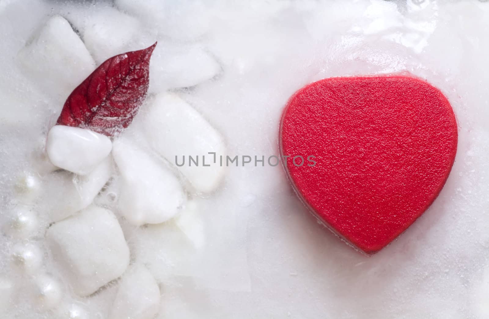 heart  in ice by foryouinf