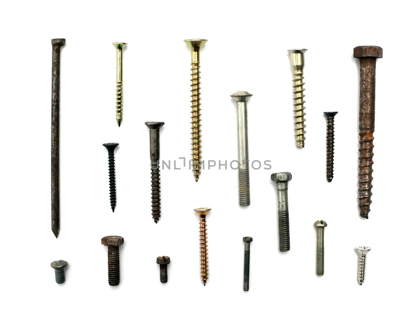 Screws - isolated on white