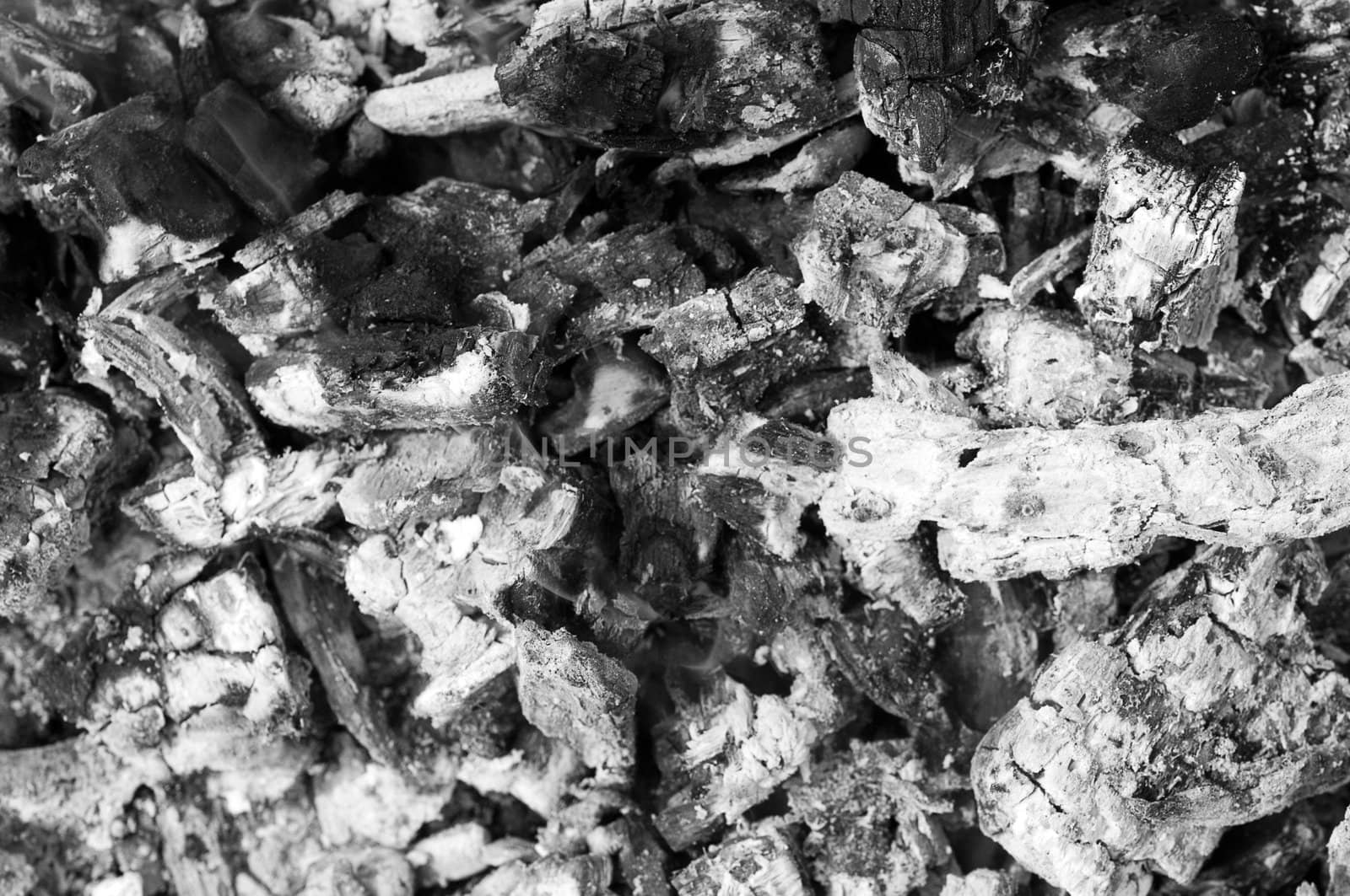 Close up of a pile of grey ashes from the burned wood