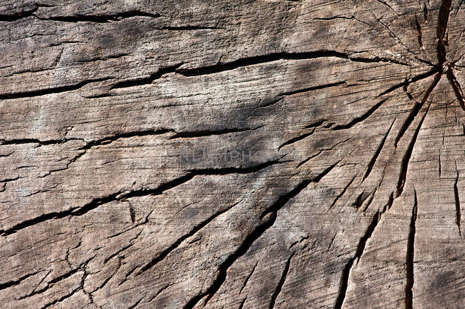 Old cracked wood by DNKSTUDIO
