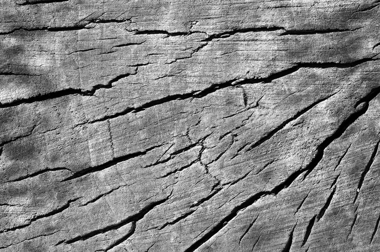 Old cracked wood by DNKSTUDIO
