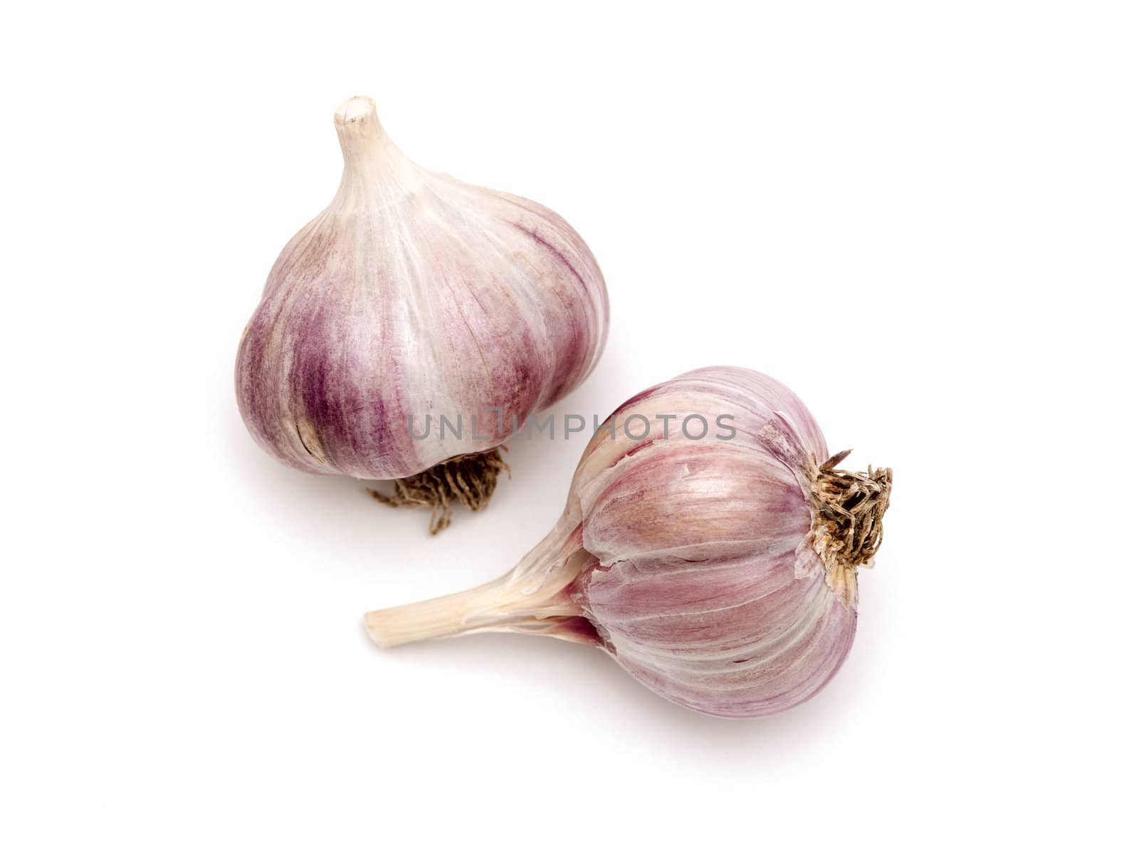 Garlic isolated on white by DNKSTUDIO