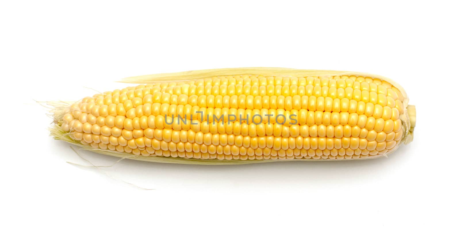 Fresh corn on white background by DNKSTUDIO