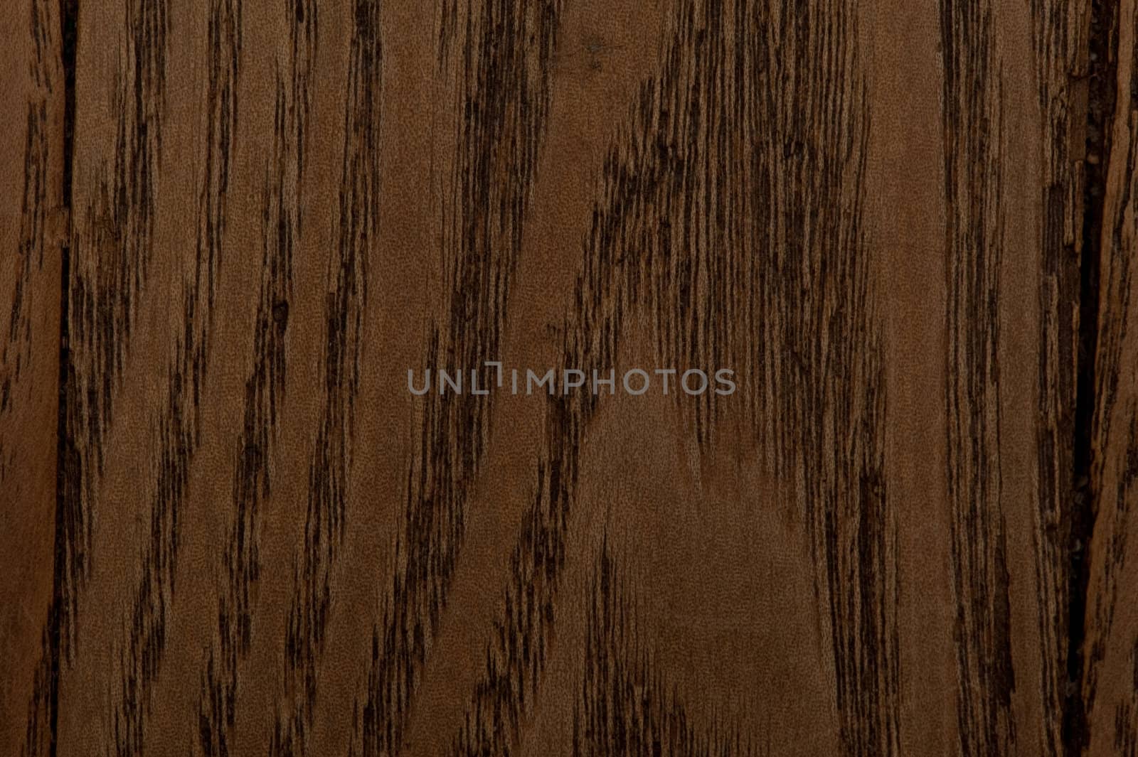 Close-up wooden oak texture to background by DNKSTUDIO