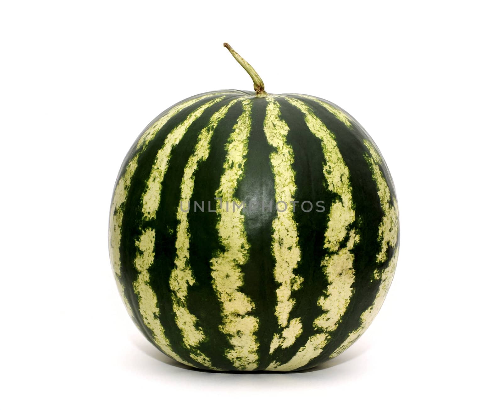 Watermelon on withe background by DNKSTUDIO