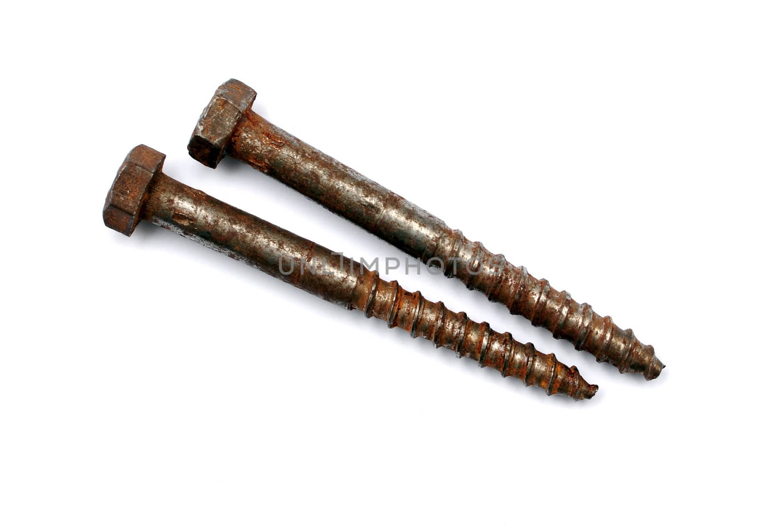Old rusty screw heads isolated on white background