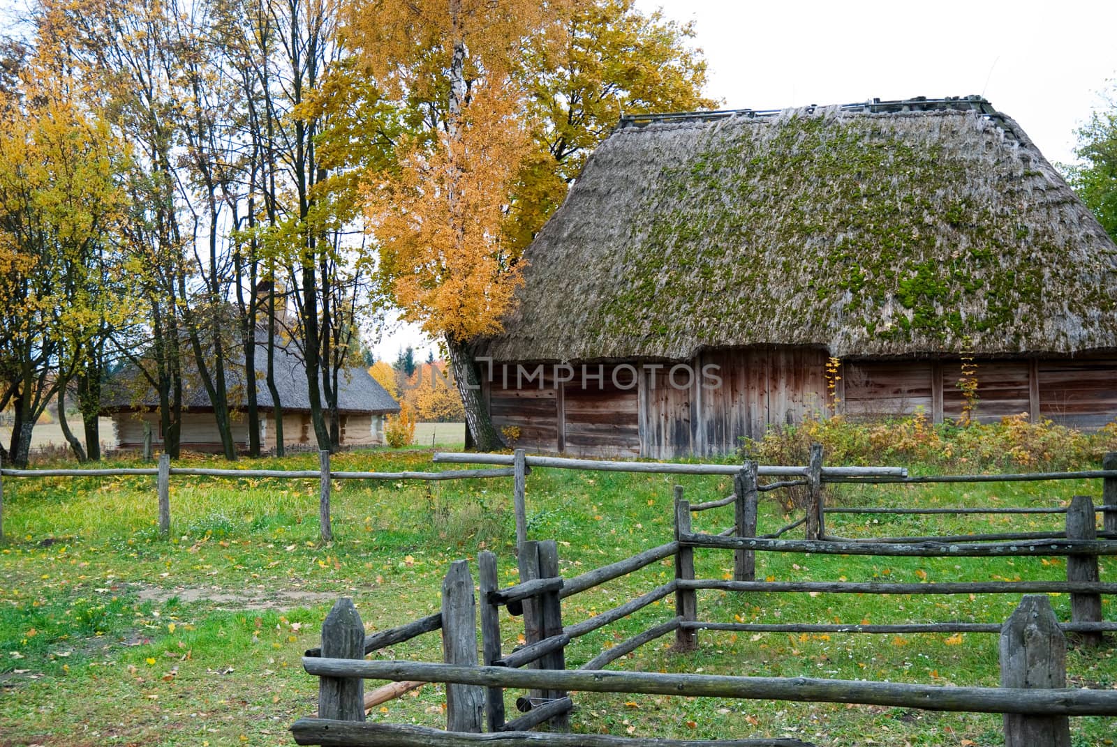 Wooden houses in colored trees taken in park in autumn in Pirogo by DNKSTUDIO