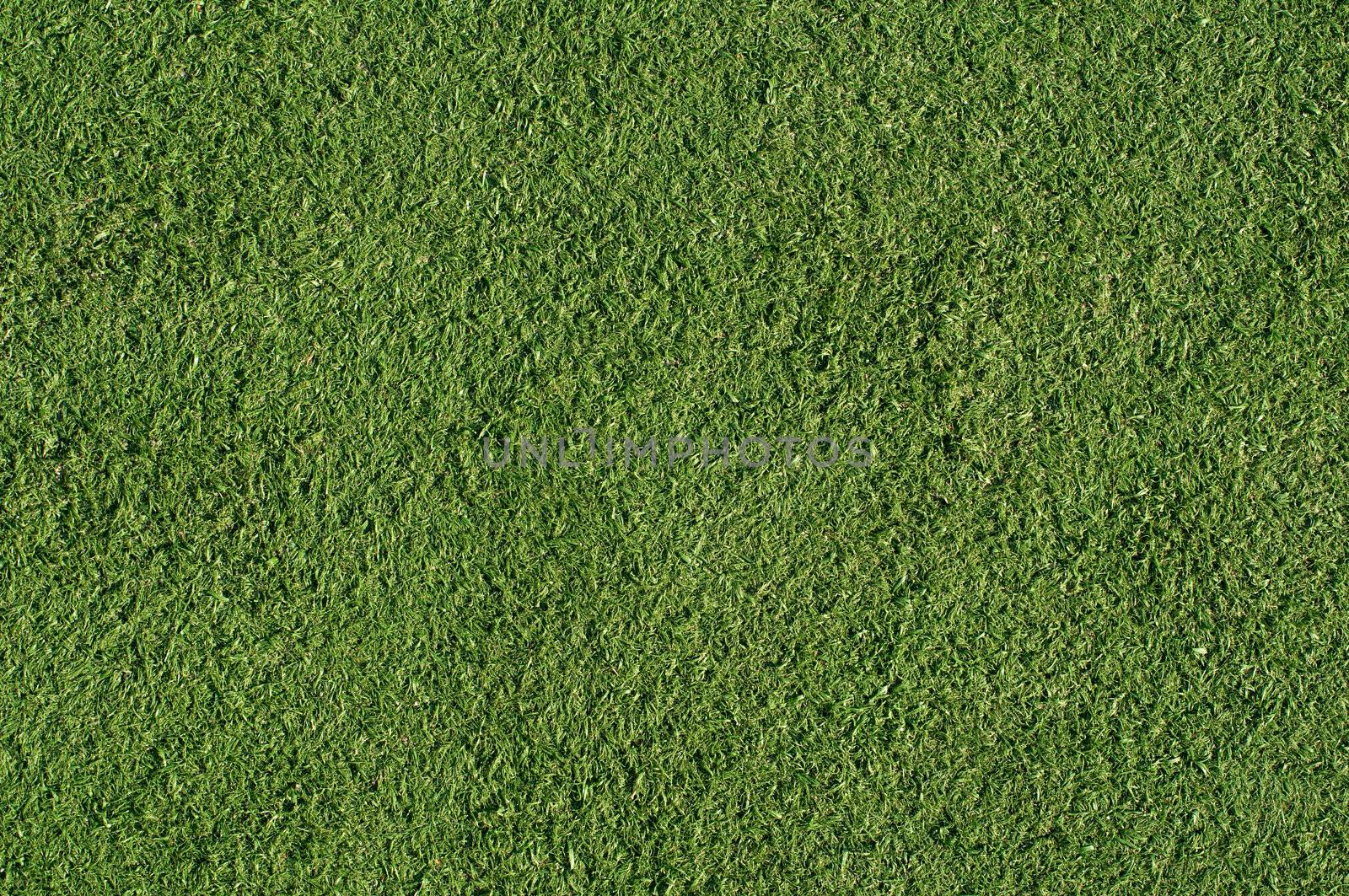 Artificial turf green