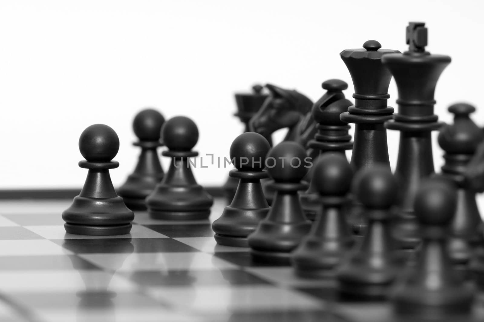 Black chessmen on a chessboard by DNKSTUDIO