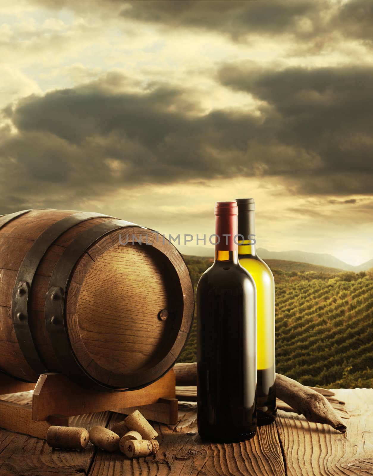 Wine bottles and wodden barrel, vineyard on background
