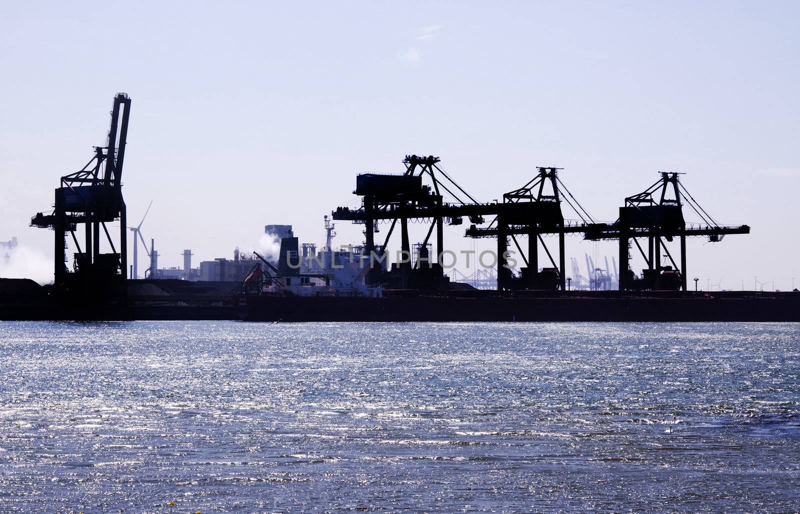Cranes in the harbour of Rotterdam
