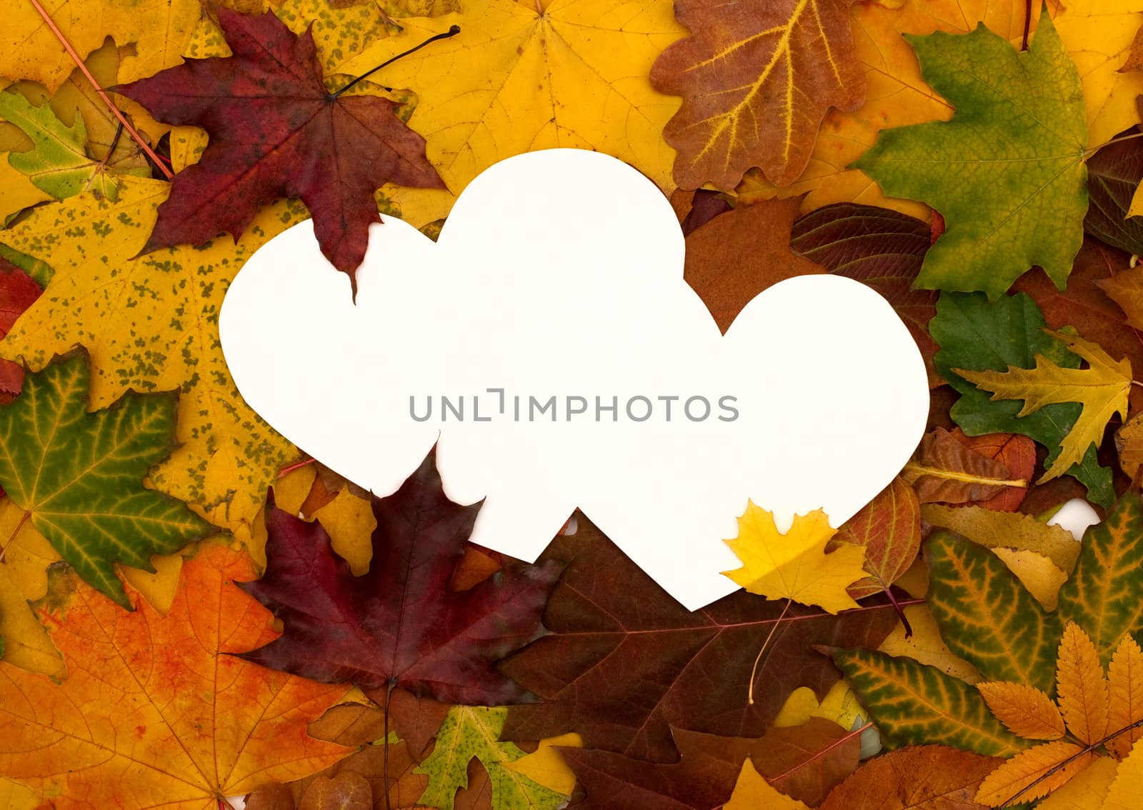 Autumn leaves background with empty greeting card for text by DNKSTUDIO