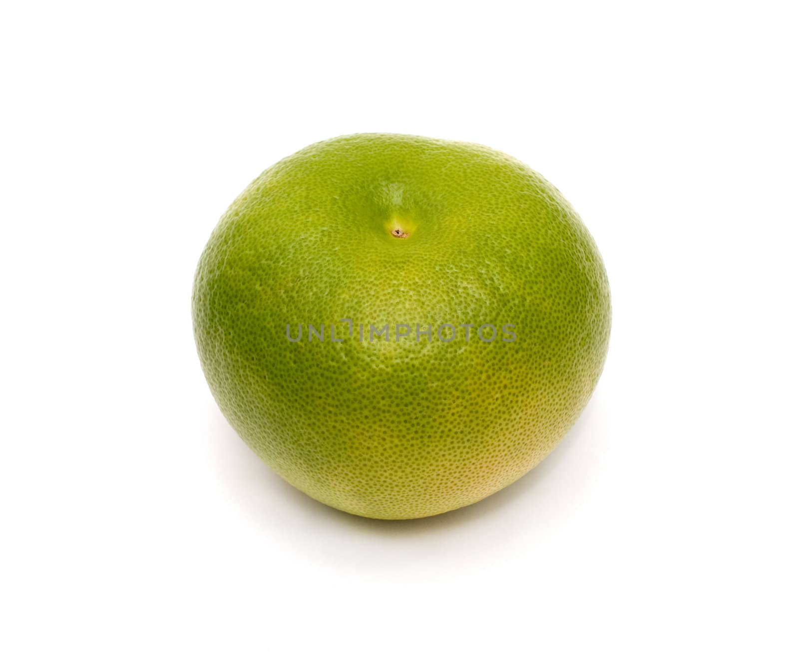 Green Grapefruit isolated on a white background