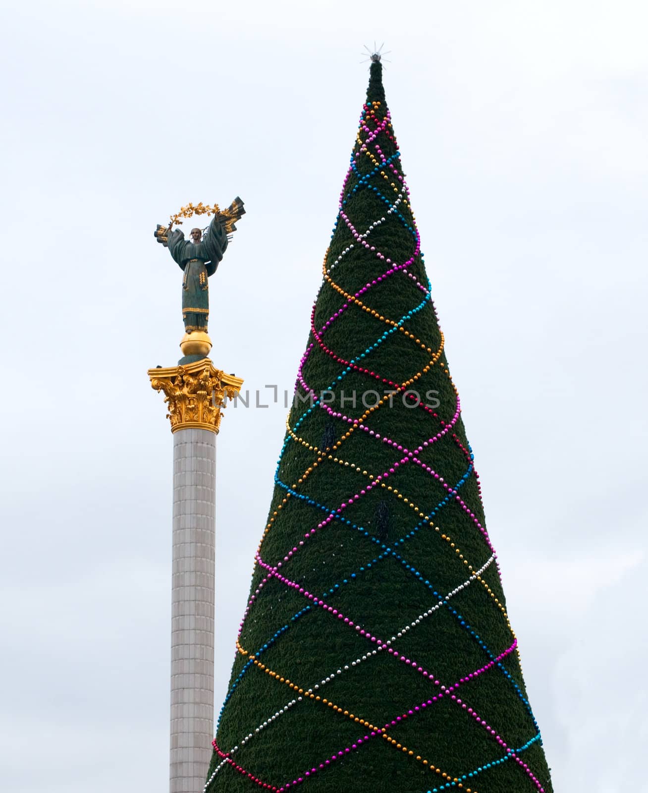 Christmas tree assemblage in Kiev
