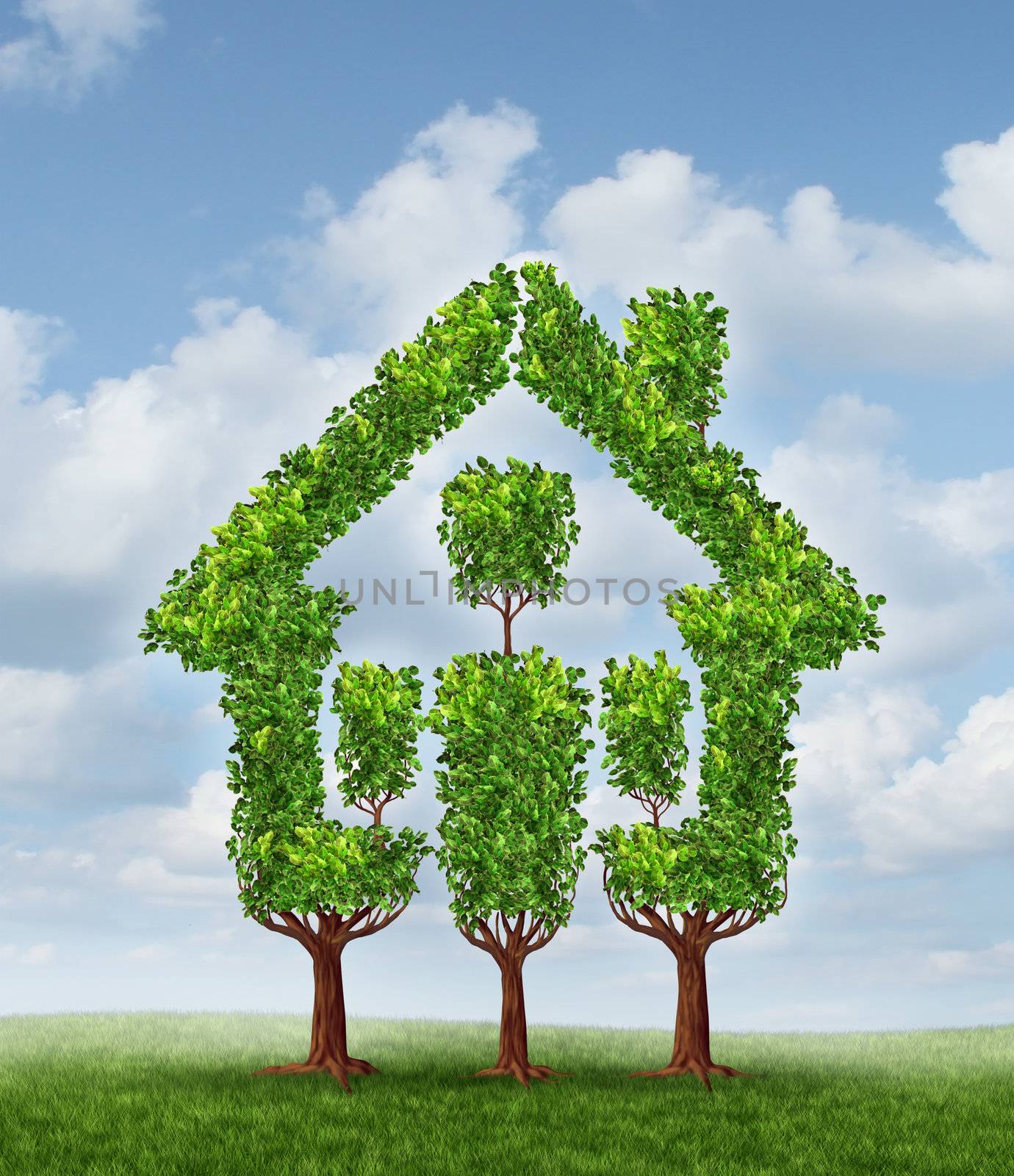 House Tree as a symbol of real estate planning and family home investing for property wealth strategy as a group of three trees lanscaped to come together to form the shape of a residential structure on a sky background.