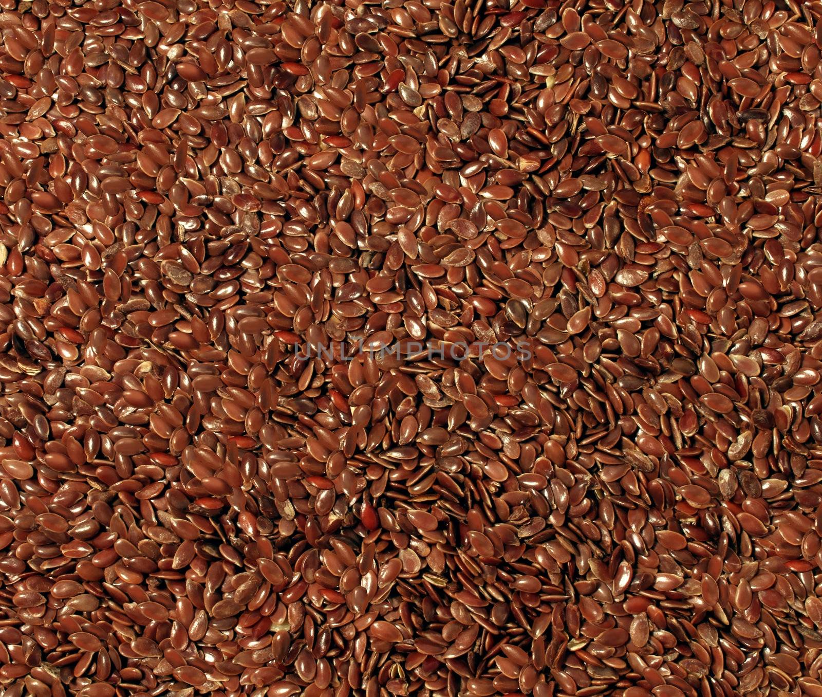 Flax seed by brightsource