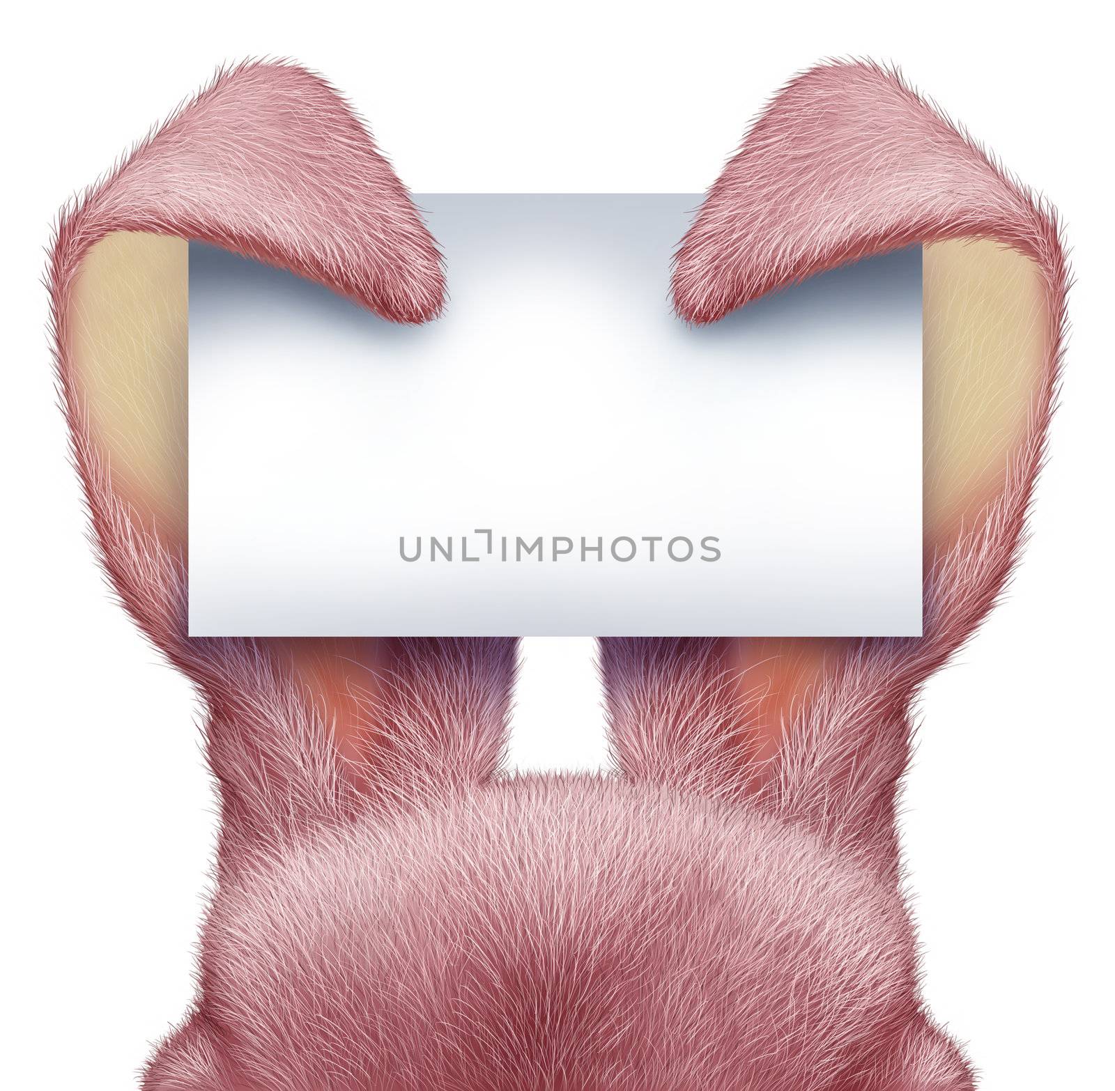 Easter Rabbit Blank Sign by brightsource