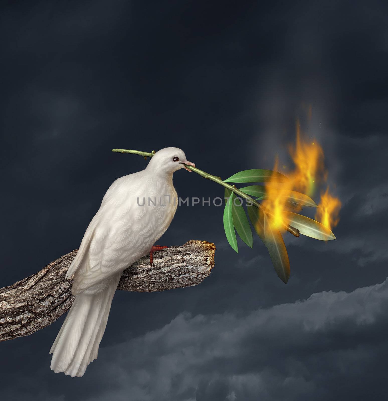 Peace crisis concept with a white dove standing on a tree holding an olive branch on fire as a symbol of the challenges of war fighting and revolution and the elusive search for a truce or agreement in the middle East or other countries in conflict.